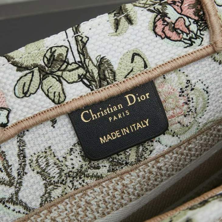 Picture of Dior Handbags _SKUfw239304262fw